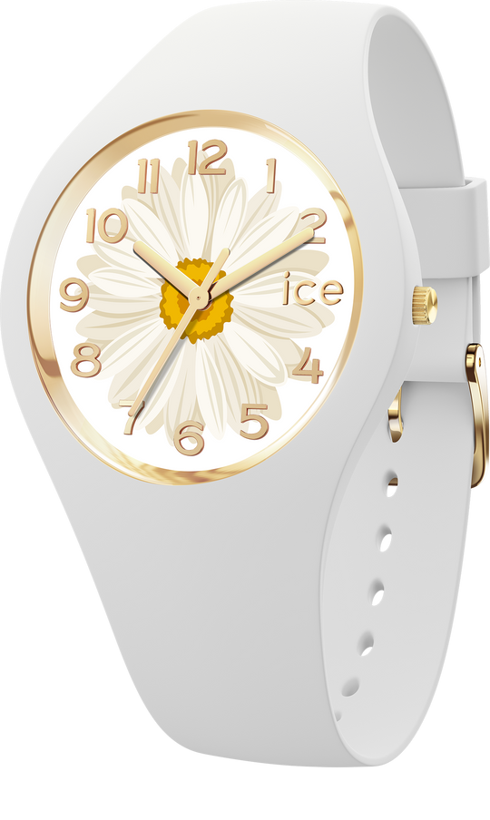 ICE flower 2023｜Sunlight daisy（S+）