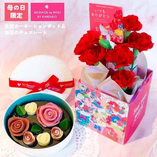 【5/3㈰～5/10㈰お届け】ロズレ・アネモネルージュとカーネーションポットset